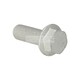 ZESKANTBORGBOUT M12X1,5X35-10.9